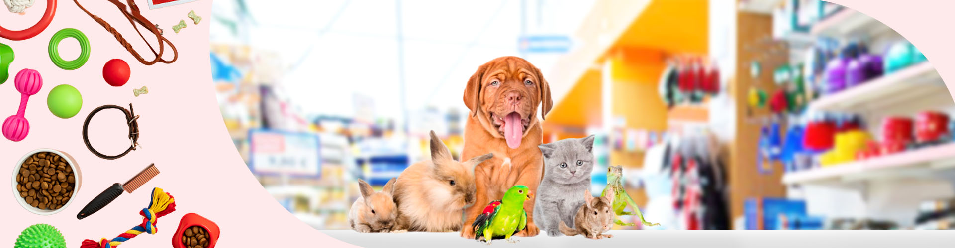 Brinquedo e Comedouro Pet Games Labirinto Verde Água – Madamy Pet Shop